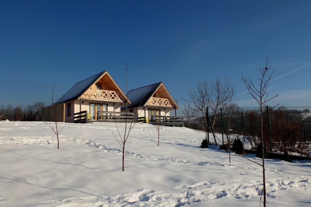 Apartamenty Żywiec Exterior foto